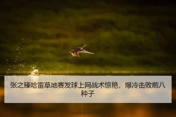 张之臻哈雷草地赛发球上网战术惊艳，爆冷击败前八种子